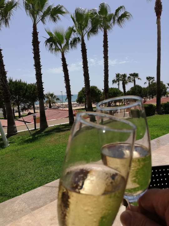 Gastro Kamelya Fulya Hotel