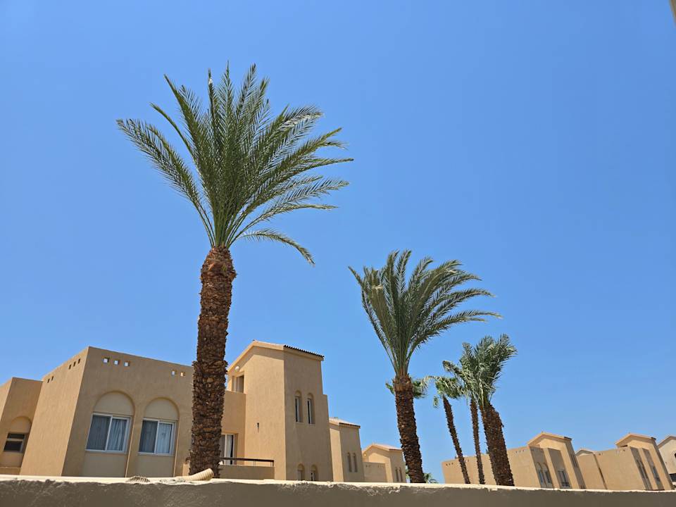 Ausblick Iberotel Casa Del Mar Resort