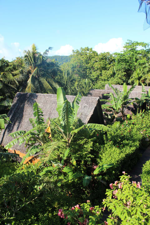 Ausblick vom Balkon auf die Anlage Hotel Palau Plantation Resort