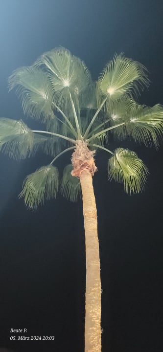 Gartenanlage Jaz Makadi Oasis Resort