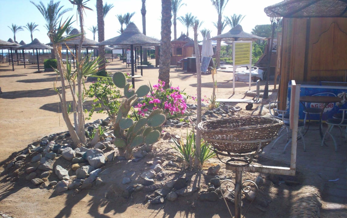 Задний двор Riviera Aqua Park Resort