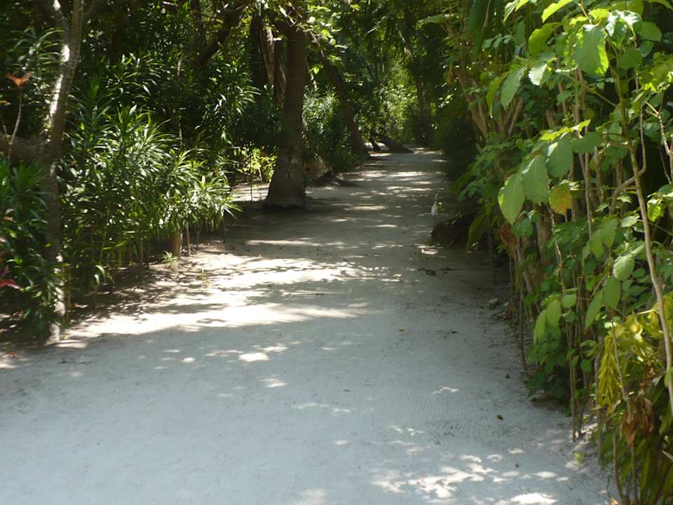 Weg zum Zimmer Biyadhoo Island Resort