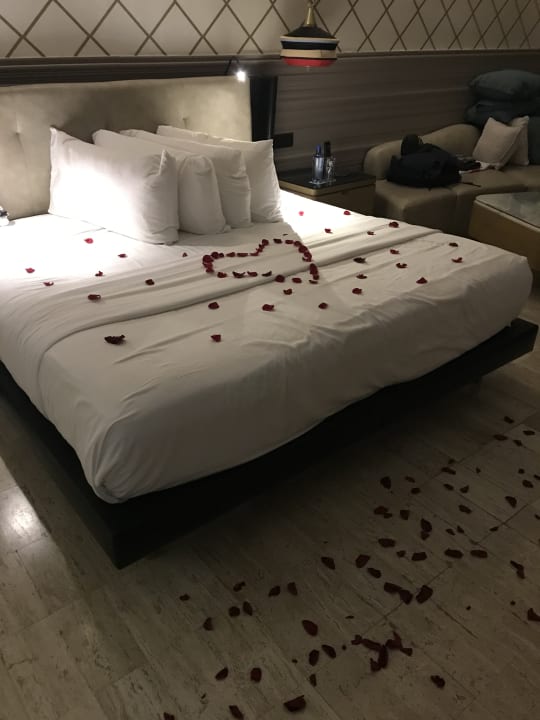 Zimmer TRS Yucatan Hotel - Adults only