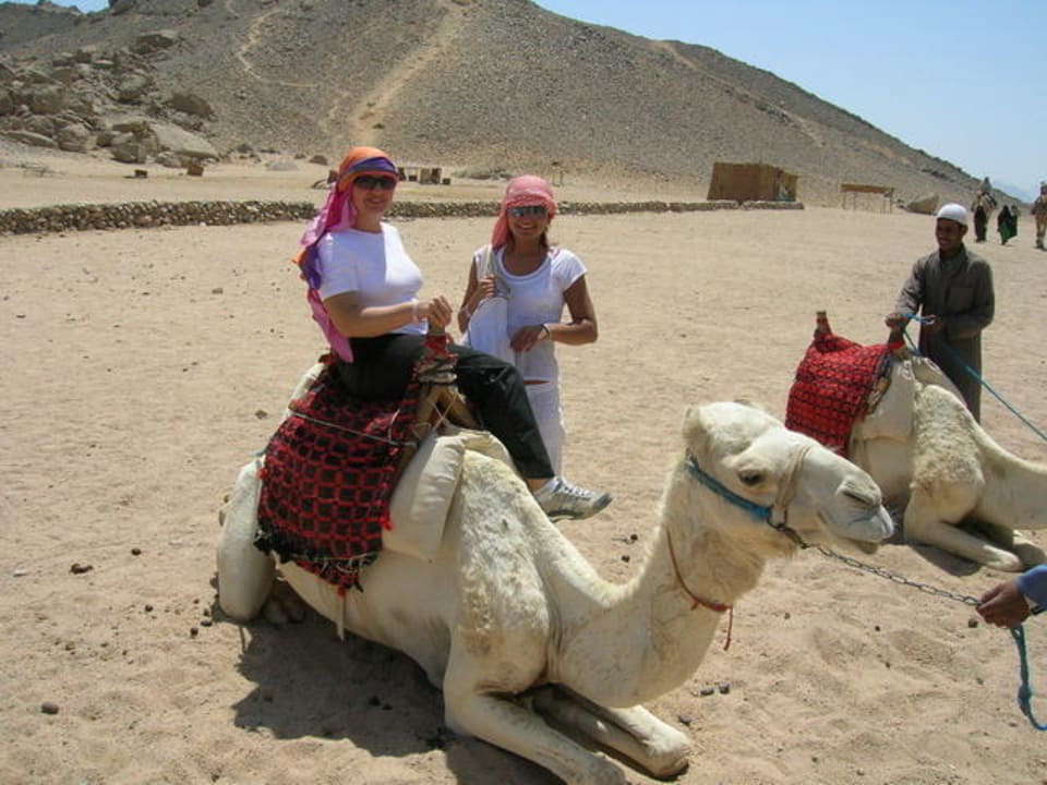 Ausflug: Quadfahren und Kamelreiten Pickalbatros Alf Leila Wa Leila Resort - Neverland Hurghada