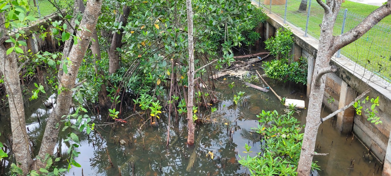 Sonstiges TUI BLUE Mai Khao Lak