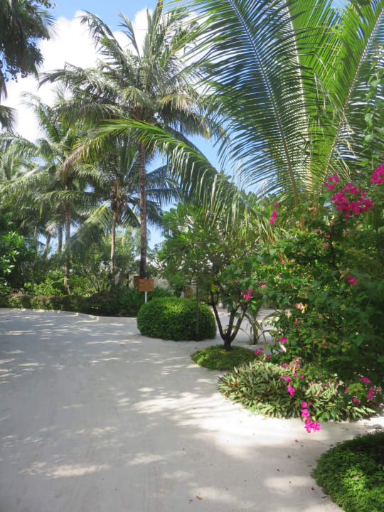 Gartenanlage Centara Ras Fushi Resort & Spa Maldives