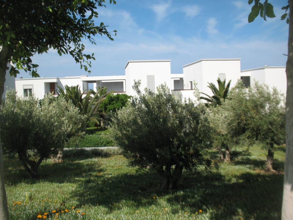 Ogród Xanadu Island Hotel