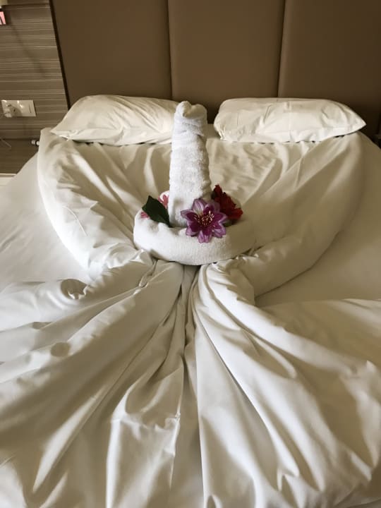 Zimmer Hotel Delphin Imperial