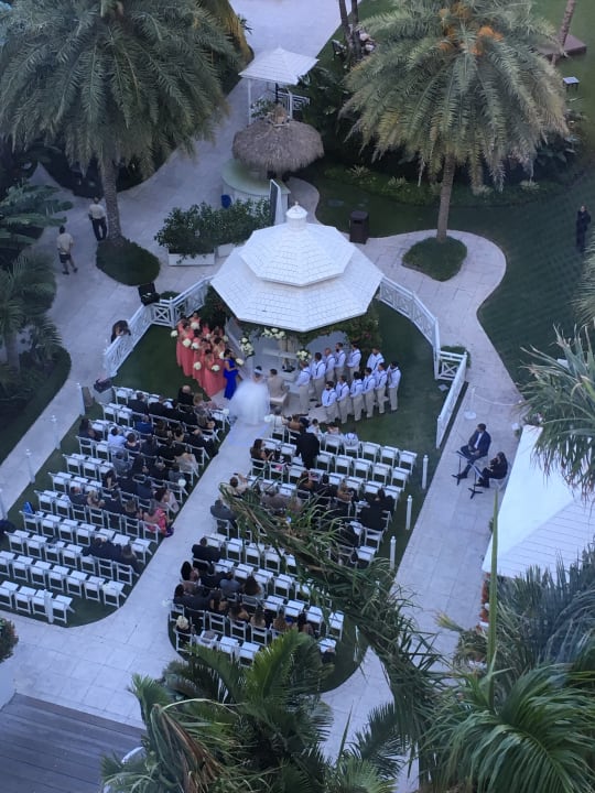 Gartenanlage The Palms Hotel & Spa