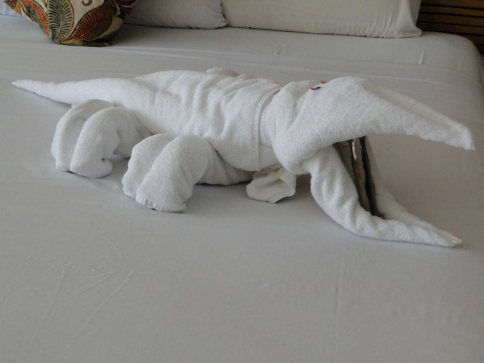 Handtuchfigur Sandos Playacar Beach Resort