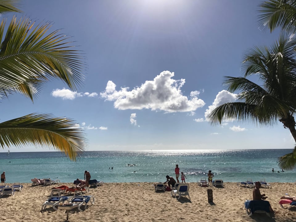 Hotelstrand Hotel Viva Dominicus Palace by Wyndham-All Inclusive Resort