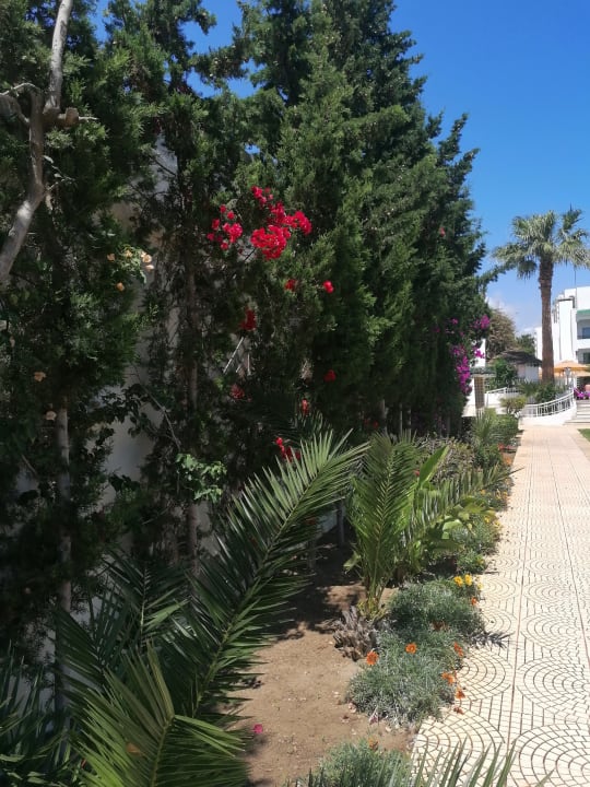 Gartenanlage Hotel Royal Nozha