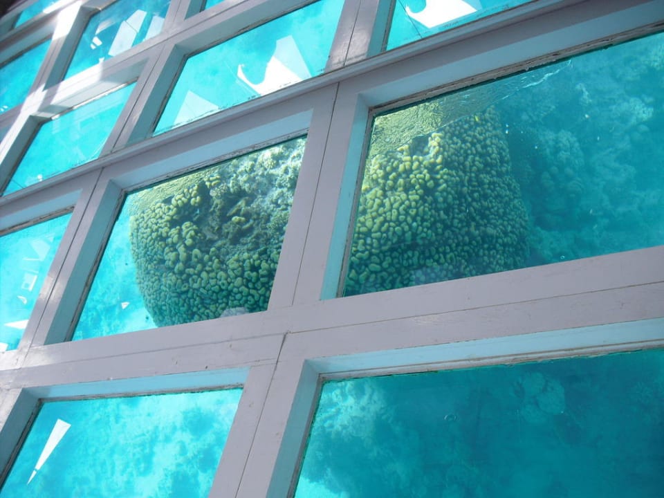 Glasbodenboot Ghazala Beach