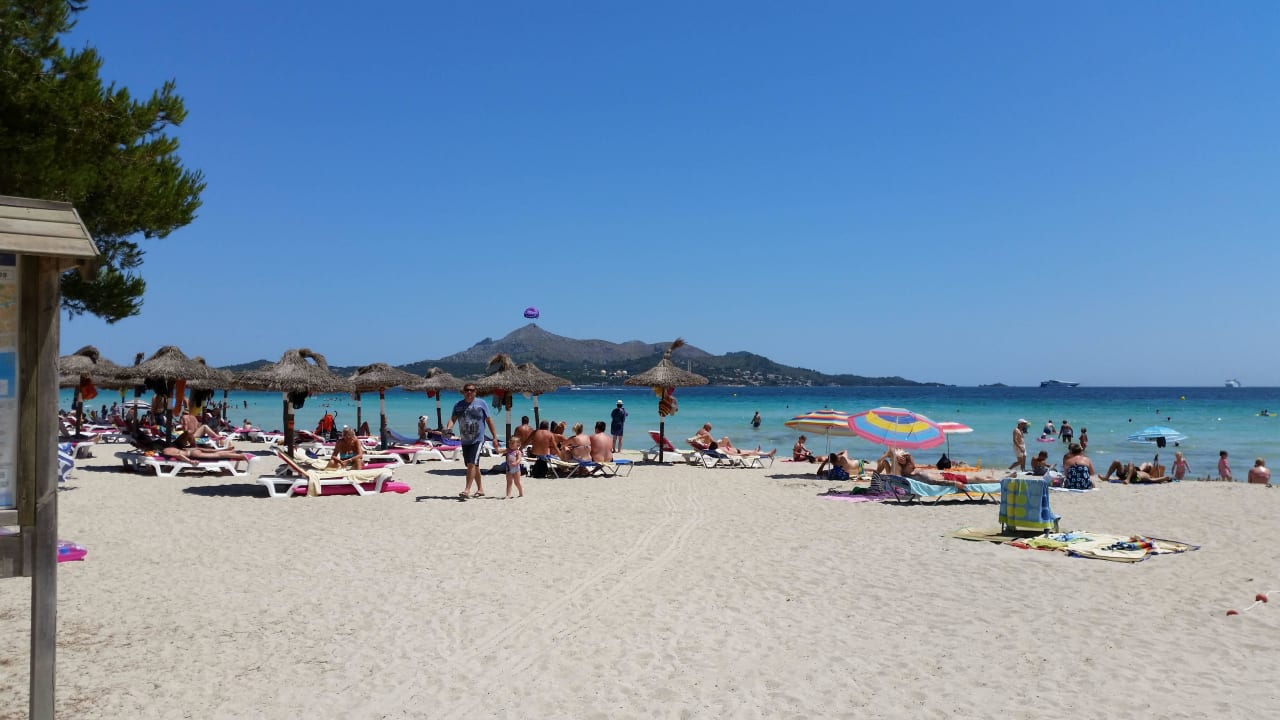 Schöner Strand allsun Hotel Eden Alcudia