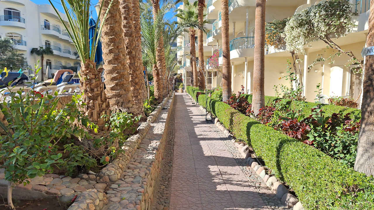 Gartenanlage Bella Vista Resort Hurghada
