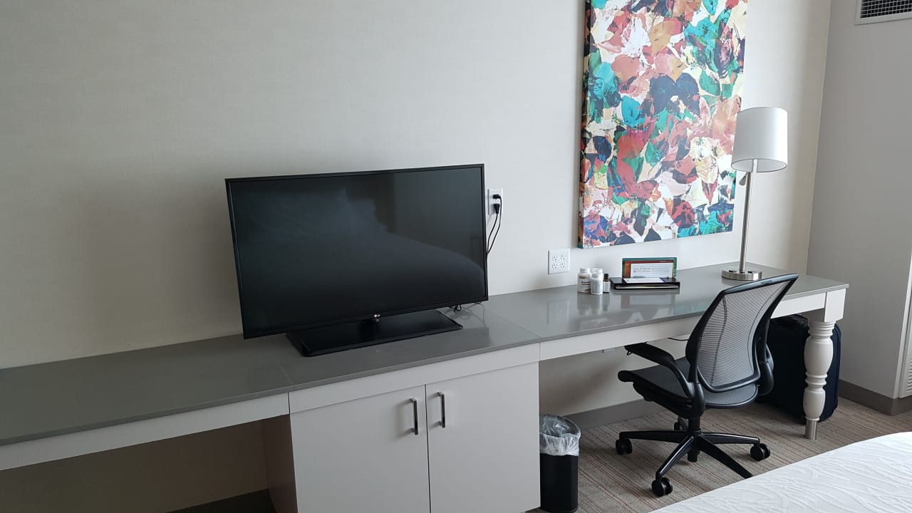 Zimmer Hilton Garden Inn Miami Dolphin Mall