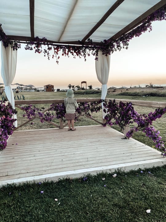 Gartenanlage Astir Odysseus Kos Resort & Spa