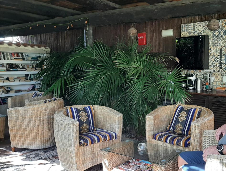 Gastro Nogal Appartements - Adults only