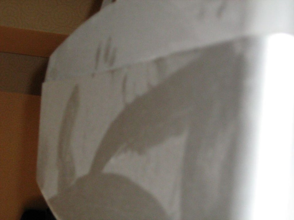 Staub vom Fernseher Belek Beach Resort Hotel