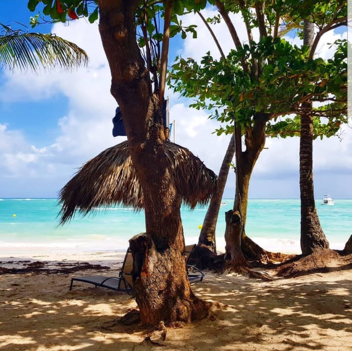 Strand TRS Turquesa Hotel - Adults only