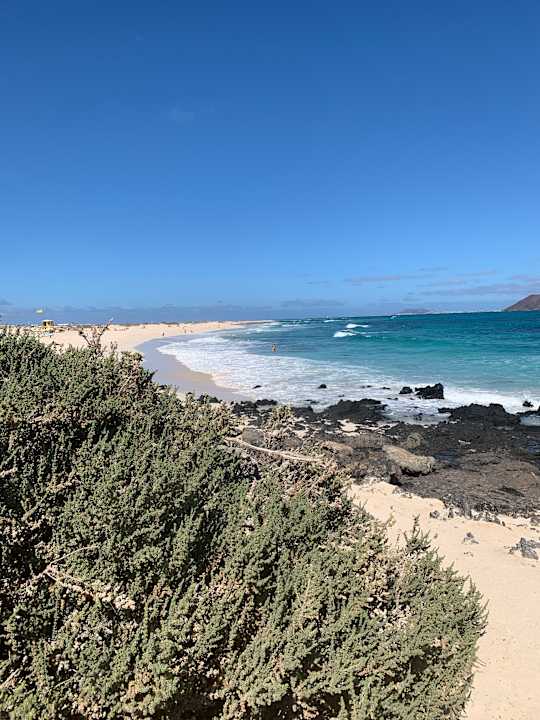 Strand Playa Park Zensation