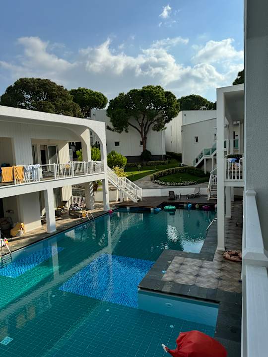 Zimmer Papillon Zeugma Relaxury