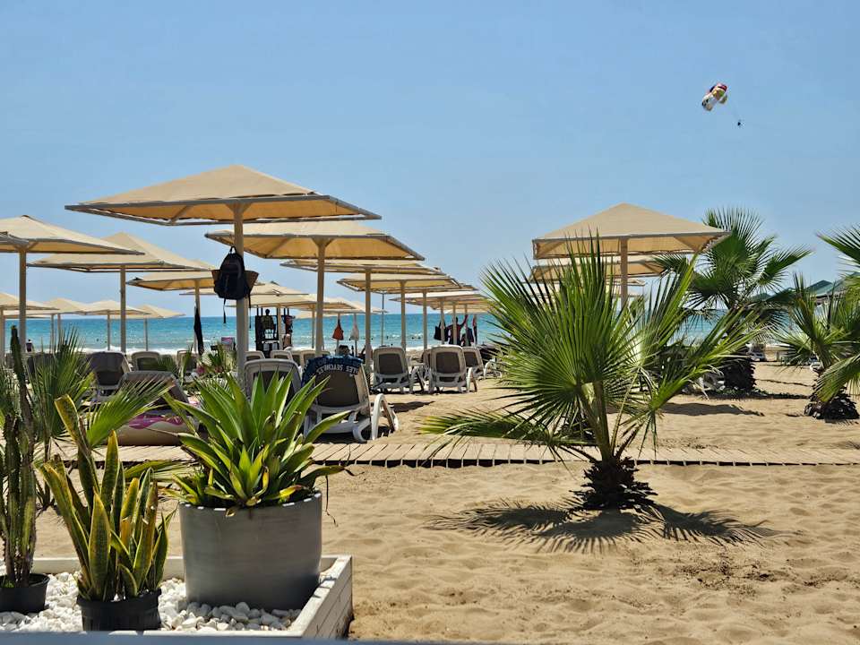 Strand Paloma Oceana