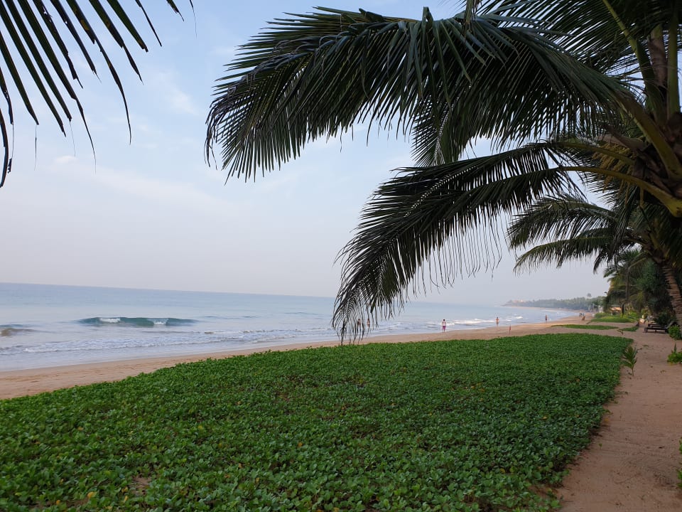 Strand Pandanus Beach Resort & Spa