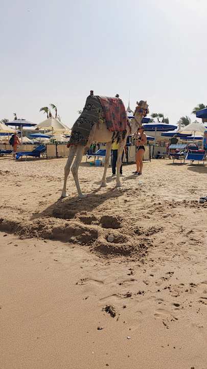 Strand Amarina Abu Soma Resort & Aquapark