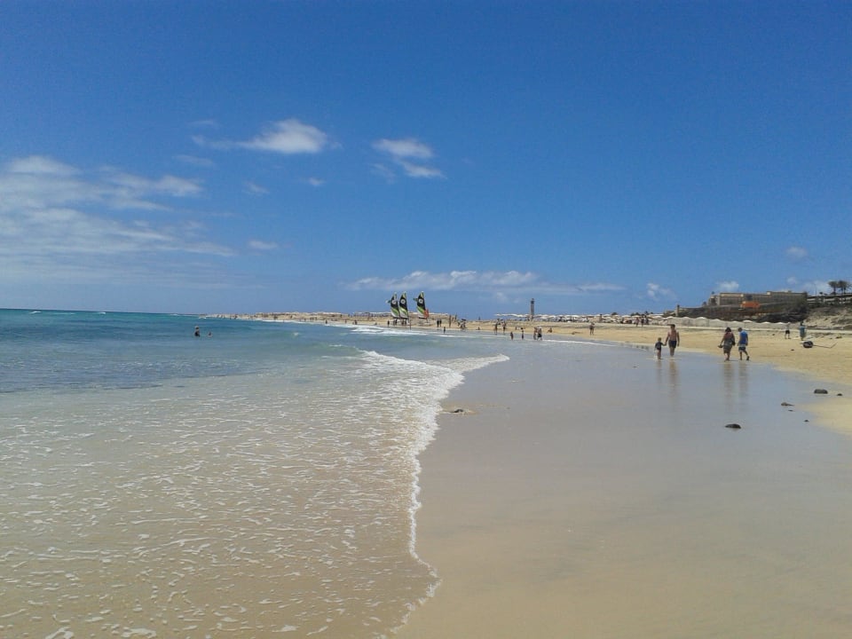 So sieht der Strand eigentlicj aus Iberostar Waves Gaviotas Park