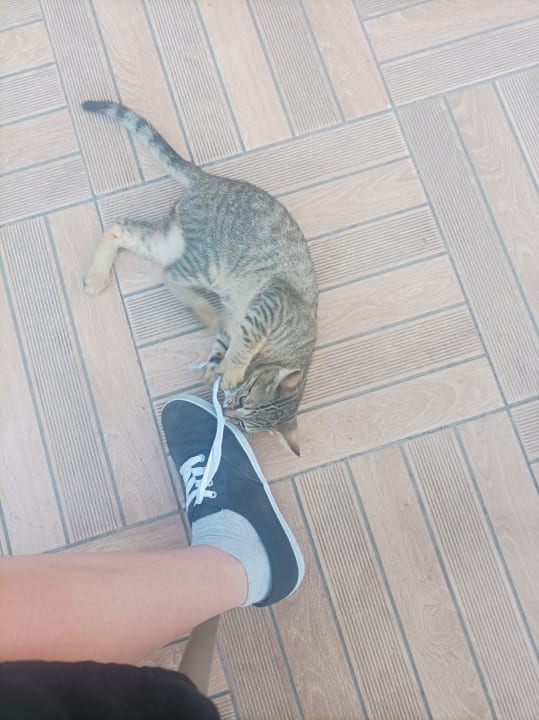 Sonstiges Grand Seker Hotel