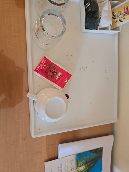 Zimmer Iberostar Selection Kantaoui Bay