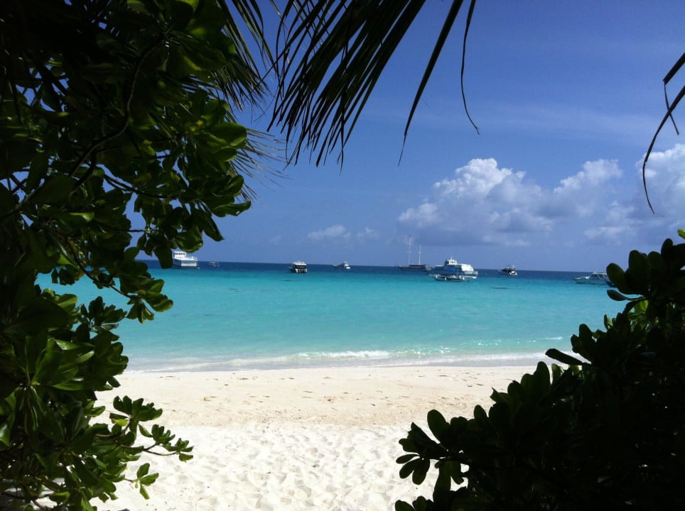 Wunderschöner Strand Kuramathi Maldives