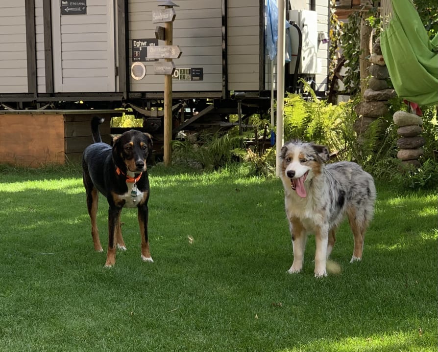 Gartenanlage Alpenhotel Tyrol - Adults only