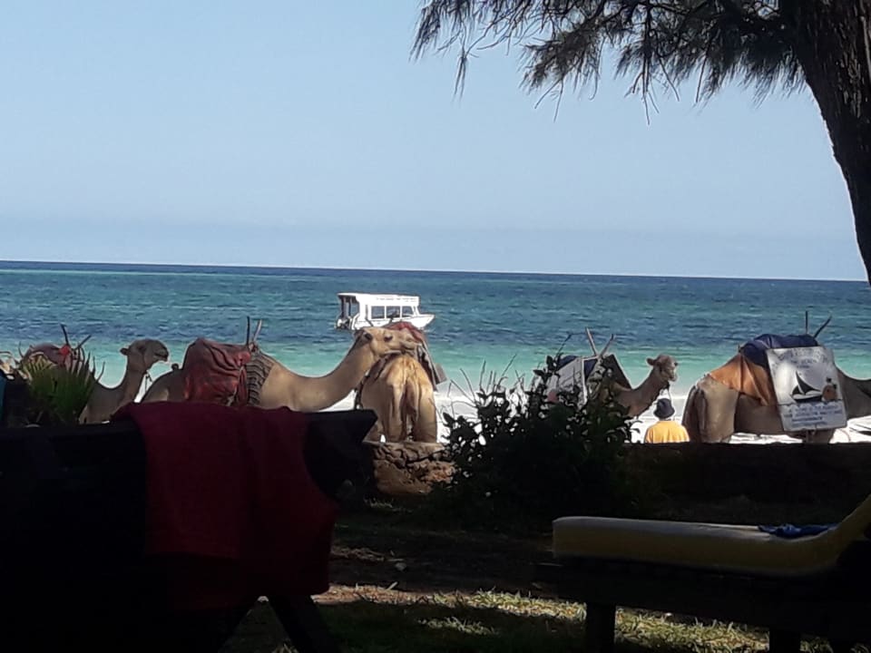 Ausblick Hotel Papillon Lagoon Reef