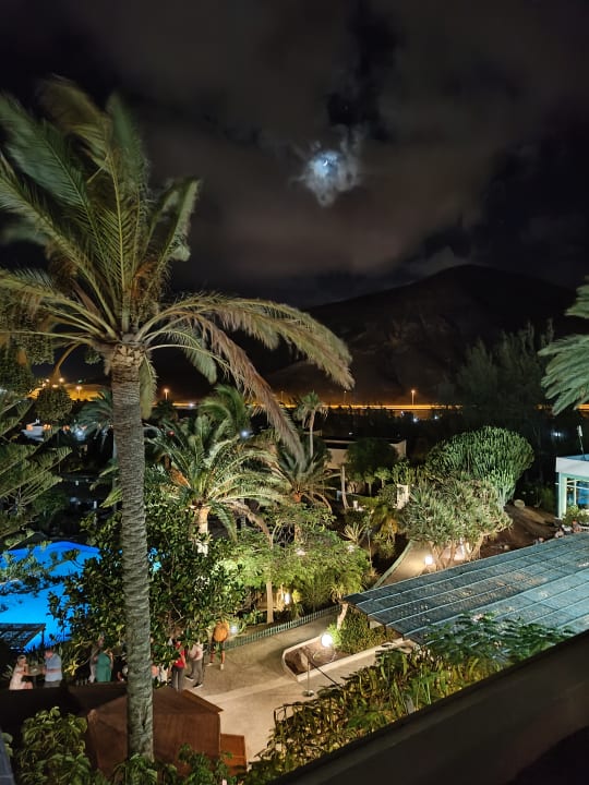 Ausblick allsun App.-Hotel Esquinzo Beach