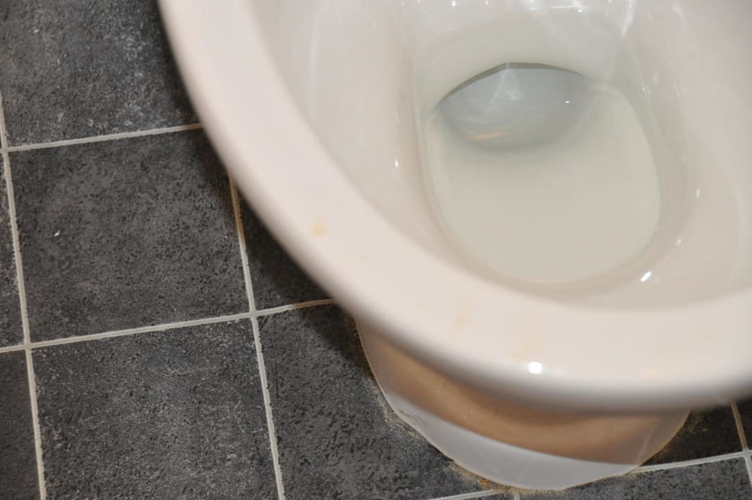Zustand WC bei Anreise Hotel The Roslin Glen