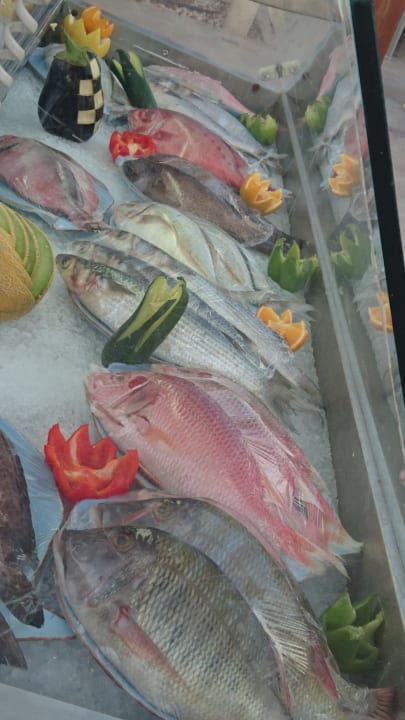 Restaurant Makadi Spa - Adults only