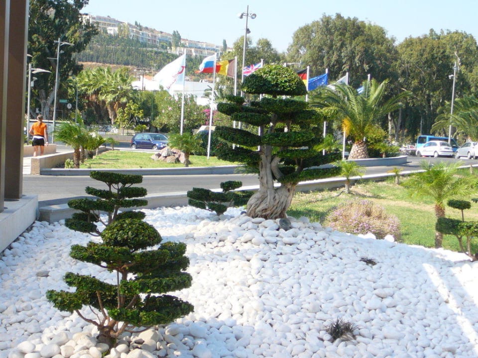 Büsche im Eingangsbereich Kipriotis Village Resort