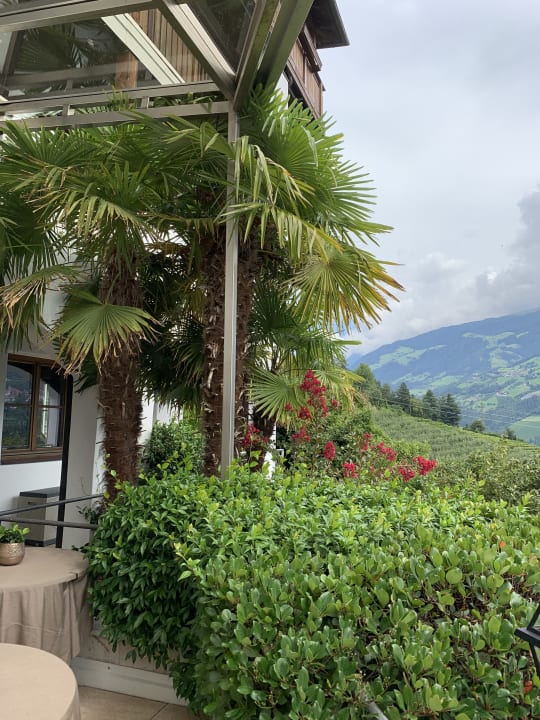 Gastro Hotel Golserhof