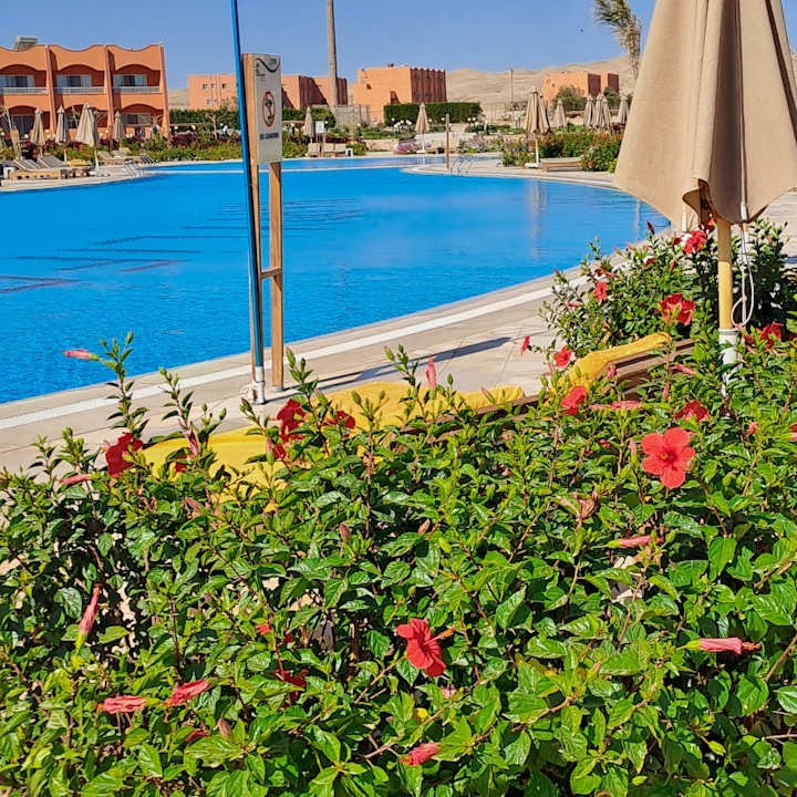 Pool Three Corners Happy Life Beach Resort