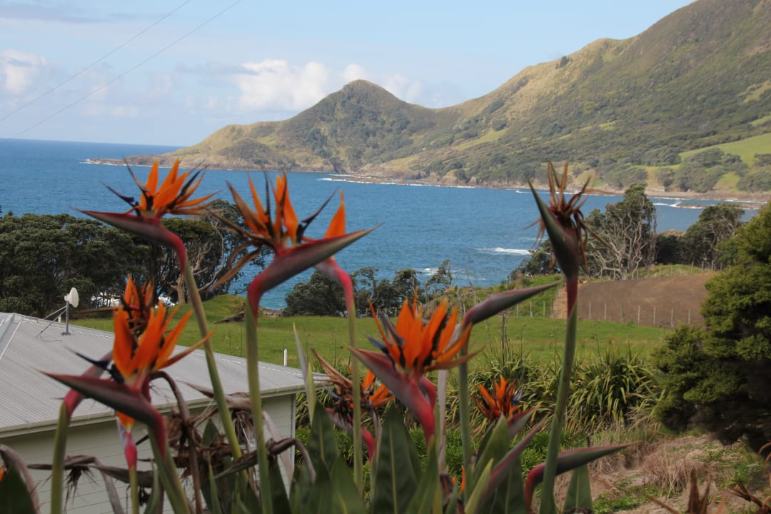 Ausblick Lottin Point Motel