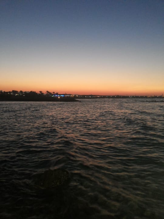 Море Desert Rose