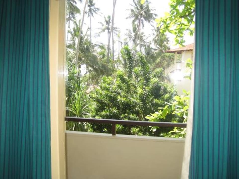 Zimmerausblick "Meer" ähm naja Palmen Mermaid Hotel & Club