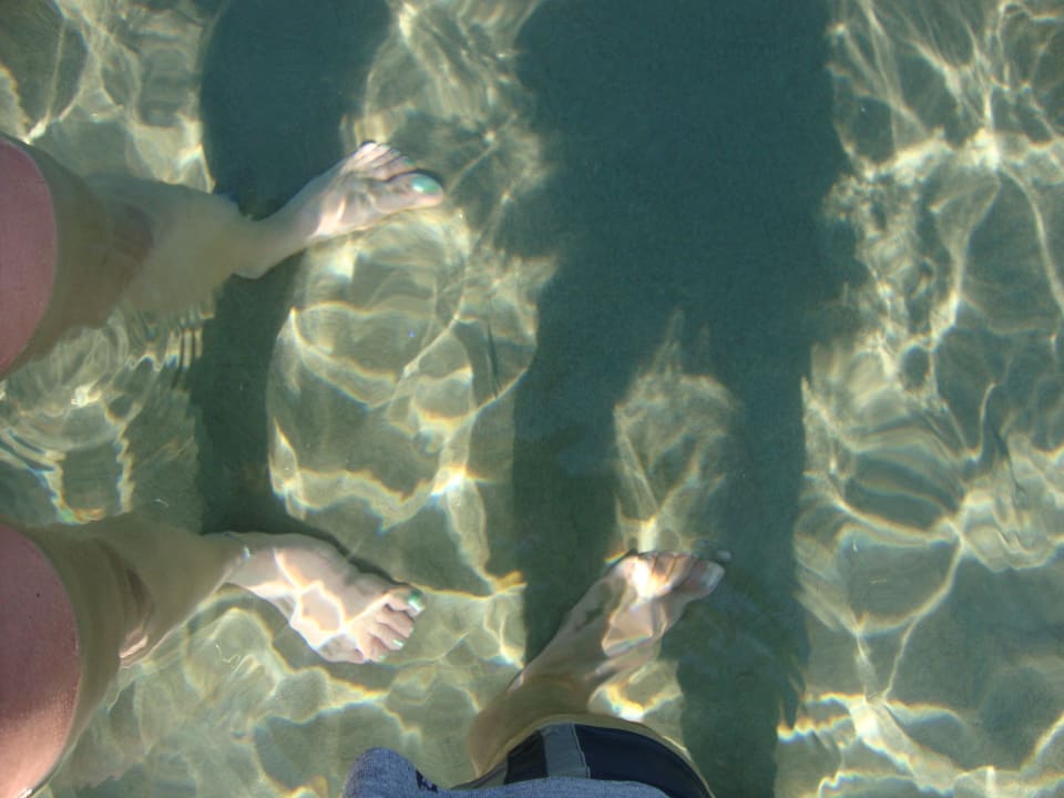 So sauber ist das Meer Porto Bello Beach