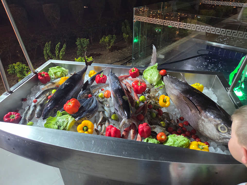 Gastro Titanic Royal