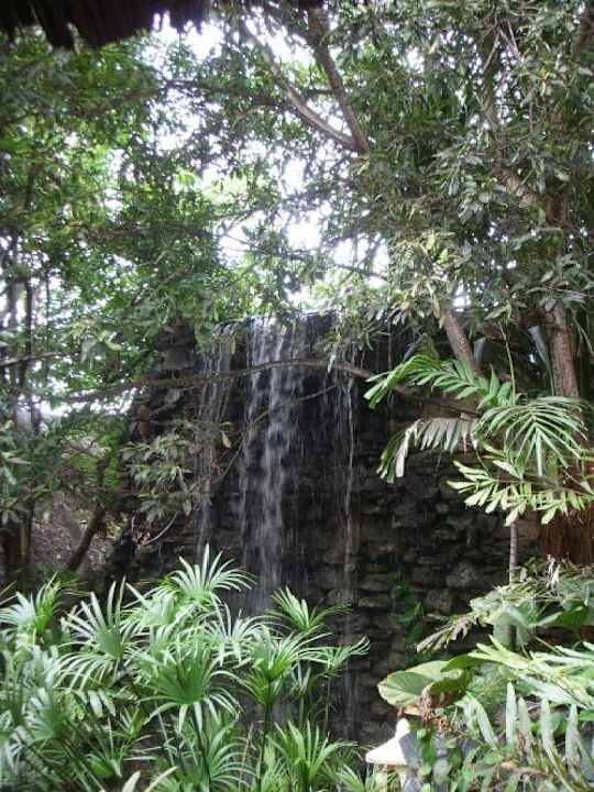 Wasserfall Hotel Southern Palms Beach Resort