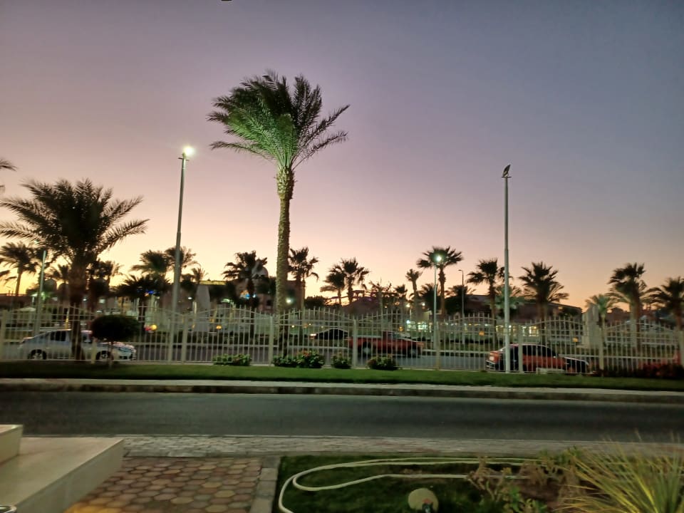 Ausblick Beach Albatros Resort
