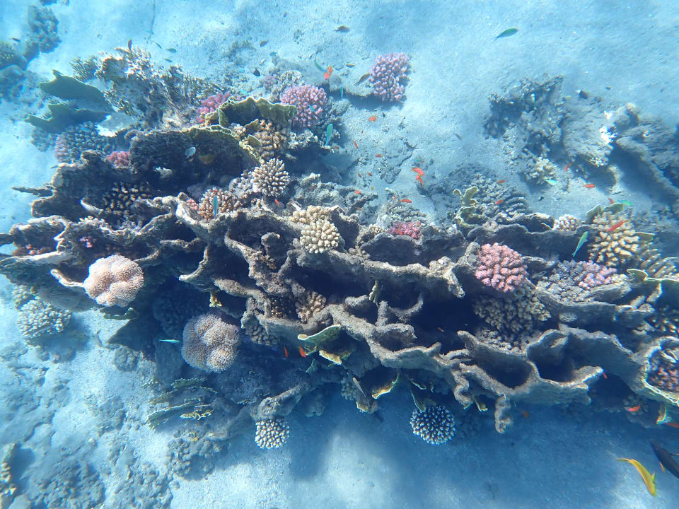 Strand Shams Alam Beach Resort