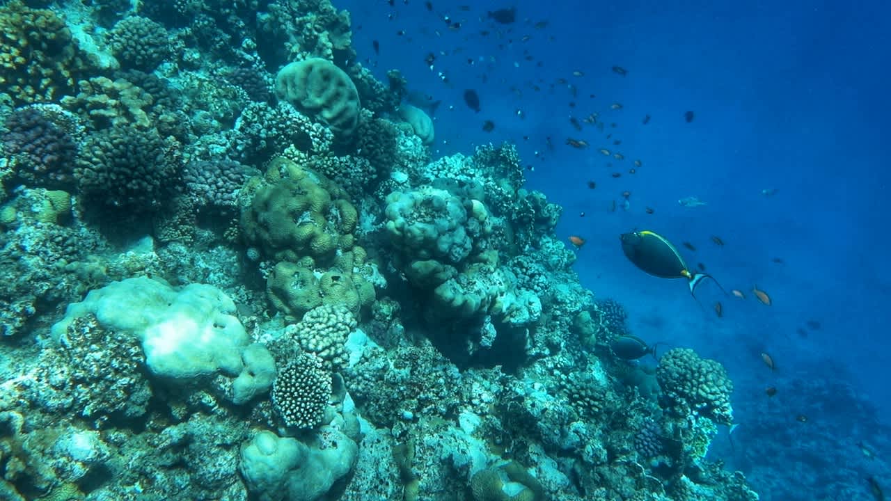 Sonstiges Three Corners Sea Beach Resort